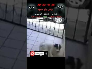 مقطع غريب جدا رصدته كامرة مراقبة رعب نص الليل لقطات رعب حقيقي