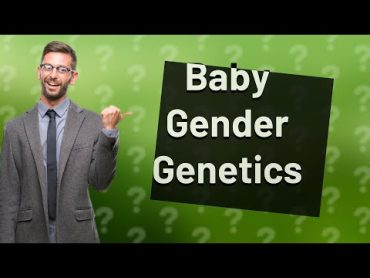 What determines if a baby is male or female?