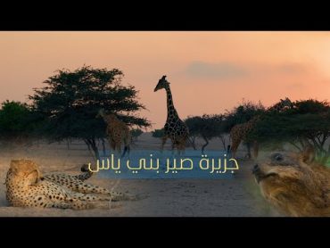 جزيرة صير بني ياس  anantara sir bani yas