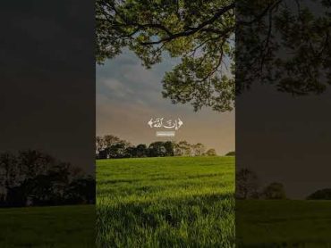 أجر لي ولكم  allah القران صدقة جارية  quran مسلم قران كريم قران ارح سمعك بالقران