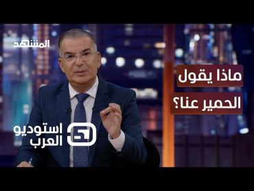 في اليوم العالمي للحمير: ماذا يقول الحمير عنا ؟  استوديو العرب