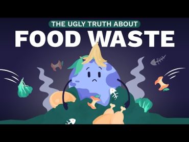 Food Waste: The Hidden Cost of the Food We Throw Out I ClimateScience 9