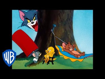 Tom et Jerry en Français  Classiques du dessin animé 102  WB Kids