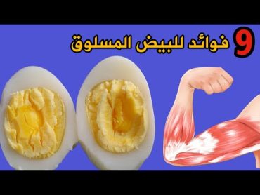 تناول البيض المسلوق يوميا وهذا ما ستحصل عليه من فوائد  فوائد البيض