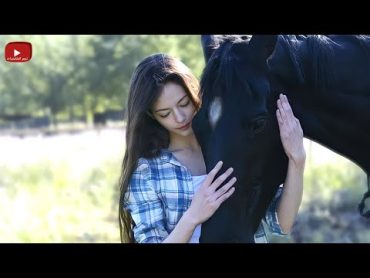 حصان نادر جدآ بياخدوه من أمه وبيعذبوه  لكن بتلاقيه بنت يتيمة وبتحاول تنقذه  ملخص فيلم Black Beauty