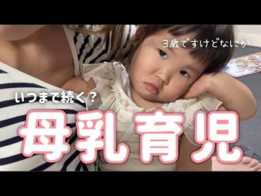 【頻回】3歳になってもパイパイ大好き【授乳】