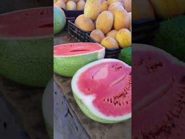 البطيخ الأفضل في العالم.  Watermelon