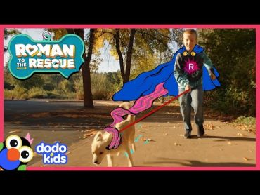 Roman + @txunamy Help Shelter Dog Find A Home  Roman To The Rescue  @disneyxd x @TheDodoKids