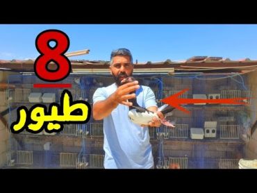 اجاني جوز و 6 طيور هديه 🤔