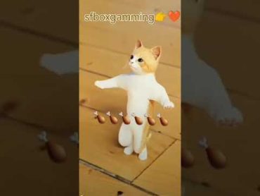 دودو ياقمر /يا ابو فخدة 😍😍لما ابو توتة 😂ايه الضحك ده shortvideo cat catvideos funny ترد علي