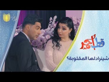 هي شيرادلها المقلوبة؟!  مسلسل قط أحمر