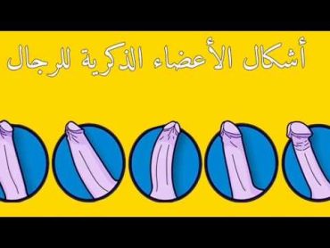 القضيب المفضل عند النساء