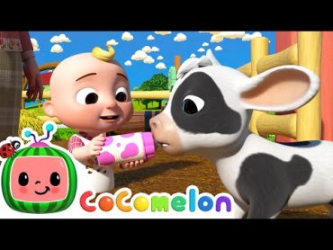 Ol&39; MacDonald  Baby Animals  CoComelon Animal Time  Animals for Kids