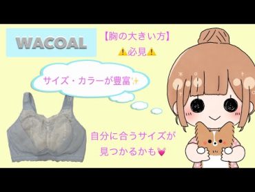 【胸の大きい方必見⚠️】WACOAL ナイトアップブラ