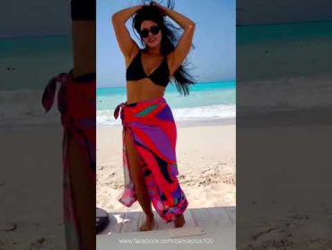 Belly Dance  رقص شرقي