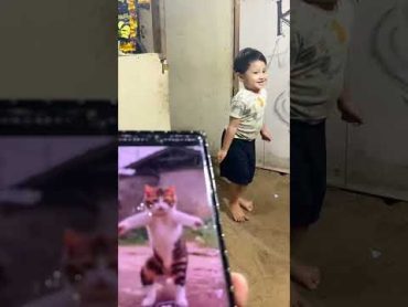 Goyangan Kucing Lucu cute funny cat