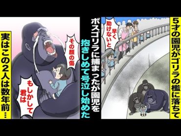 【漫画】動物園でゴリラの檻に落ちて気を失ってしまった５才の幼稚園児。ボスゴリラに捕まって絶対絶命だと思った次の瞬間、ゴリラが園児を抱きしめて号泣…実はこの少年とゴリラは数年前・・・