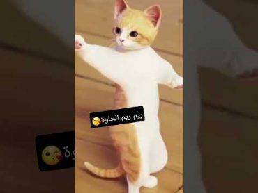 الأكثر طلبا والمستمر 😊 ريم الحلوة funny viral cute shorts جوجو فوفو