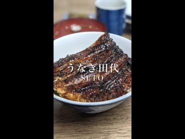 【愛知/瀬戸】超絶品の鰻丼が食べられる『田代』