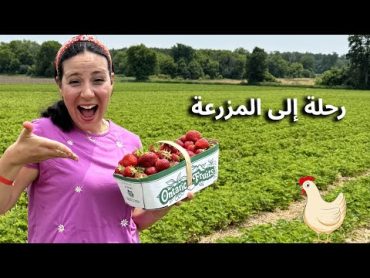 رحلة إلى المزرعة  قطاف البازلاء والفراولة  الحيوانات الأليفة