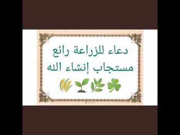 دعاء للزراعة رائع مستجاب إنشاء الله🌾🌱🌿☘️