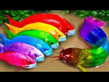 Cartoon Stop Motion ASMR  Believe This Fishing? Big Red fish Carp eel videos Mudfish Cooking