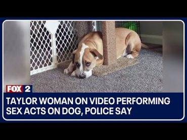 Taylor woman on video performing sex acts on dog, police say