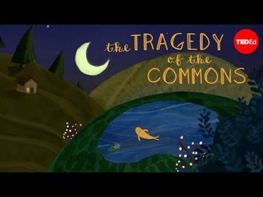 What is the tragedy of the commons?  Nicholas Amendolare