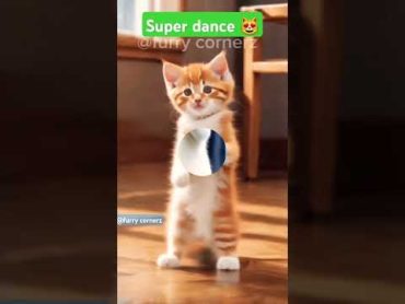 Super viral cat dance 😻🙀catdancer vefalim danceonline catdancer dancecraze viralreels