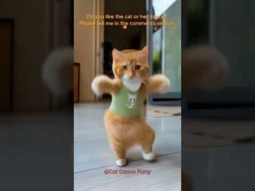 Cat Dance Partycat lovecats cats catvideos  catlover princesscat kitten dance partyanimals