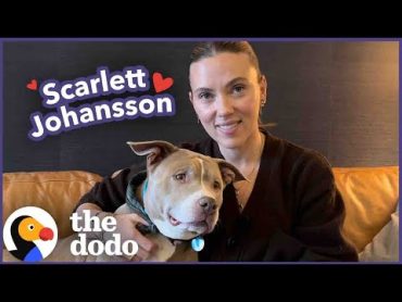 Scarlett Johansson Goes on A Dodo Dream Date  The Dodo