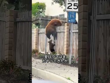 この家族は、毎日たくさんの野生動物を迎えていた。