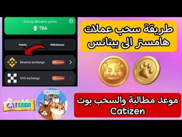 بوت Catizen موعد مطالبة وإيقاف البوت طريقة ربط بوت هامستر كومبات ب منصة بينانس