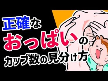 【おっぱい】正確なカップ数の見分け方法と正しい胸の測り方