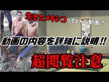 生きたメキシコの内容は？徹底説明！！