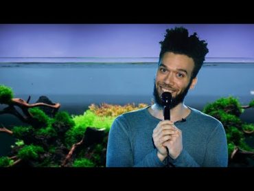 STANDUP COMEDY ON AQUARIUMS  HOW TO MAKE FUN OF OURSELVES