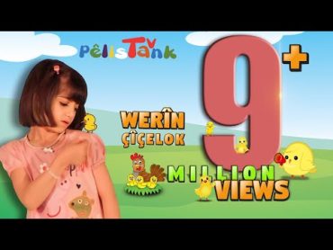 وەرین  چیچەلۆک  WERÎN  ÇîÇELOK  PELÍSTANK TV