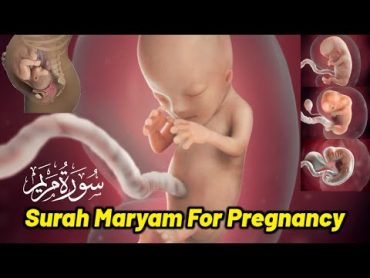 Surah Maryam For Pregnancy Beautiful Recitation For a Beautiful Baby