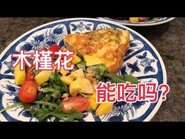 不容错过的美味。你可知道木槿花不仅美丽，更是健康养颜好食品哦。