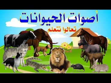 أسماء وأصوات الحيوانات للاطفال   تعليم أصوات الحيوانات للأطفال باللغة العربية