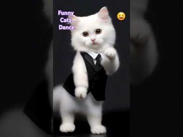 Funny cats dance 😆🤣😂 funny comedy dance cat catlover shorts viralvideo