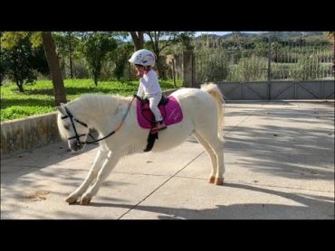 The cutest little toddler horse rider and her pony