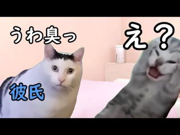 ま○こが臭い　猫マニ 猫ミーム 猫ニチ