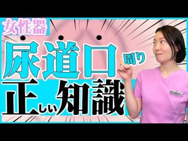 【女性器解剖】女性のおしっこはどこから出る？尿道口周辺を解説！