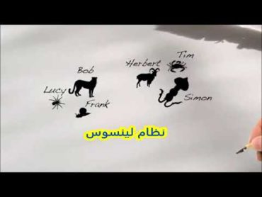 تاريخ التصنيف