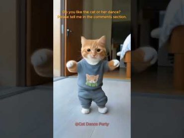 Cat Dance Partycat lovecats cats catvideos  catlover princesscat kitten dance partyanimals