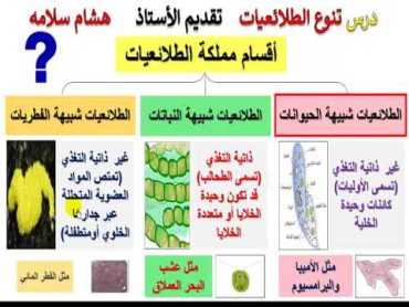 تنوع الطلائعيات الطحالب جزء 1 أحياء 1 مسارات