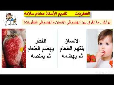 مدخل الي الفطريات أحياء 1 مسارات الجزء الأول