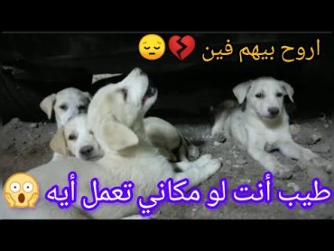 نازل تركب عربيتك 😱 تلقي دول تحت العربية💔😔