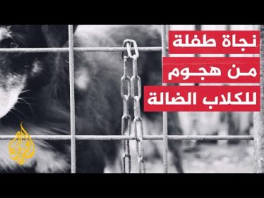 لحظات عصيبة.. طفلة تنجو بأعجوبة من هجوم للكلاب الضالة